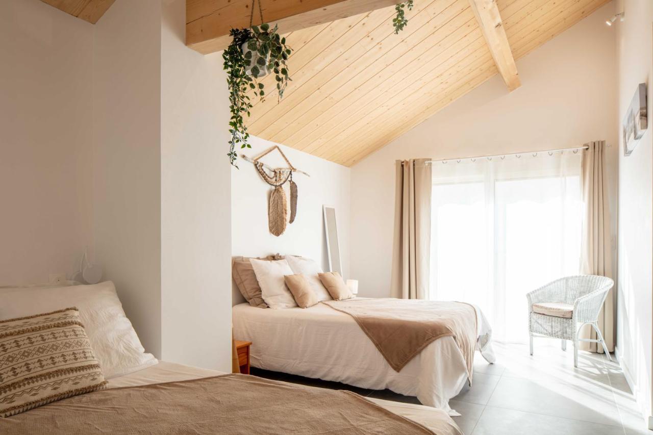 Ted Surf House Bed & Breakfast Capbreton Luaran gambar